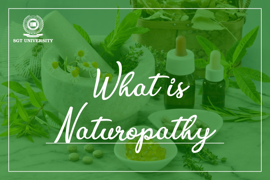 You are currently viewing What is Naturopathy?